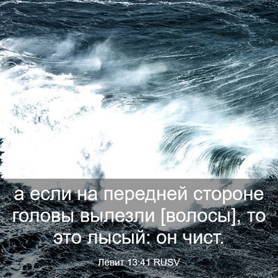 Picture 03 - Левит 13:41 RUSV - а если на передней стороне - Bible Verse Picture