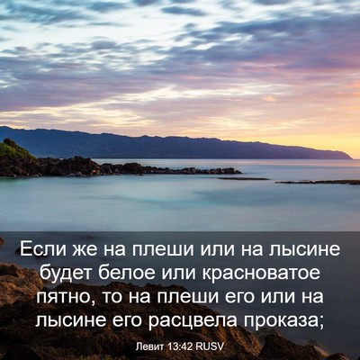 Picture 03 - Левит 13:42 RUSV - Если же на плеши или на - Bible Verse Picture