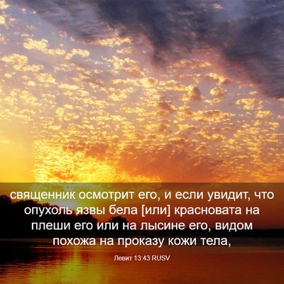 Picture 03 - Левит 13:43 RUSV - священник осмотрит его, и - Bible Verse Picture