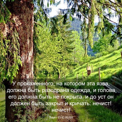 Picture 03 - Левит 13:45 RUSV - У прокаженного, на котором - Bible Verse Picture