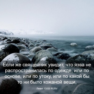 Picture 03 - Левит 13:53 RUSV - Если же священник увидит, - Bible Verse Picture