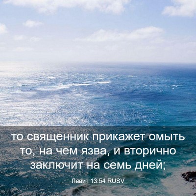 Picture 03 - Левит 13:54 RUSV - то священник прикажет - Bible Verse Picture