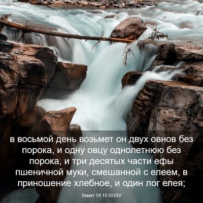 Picture 03 - Левит 14:10 RUSV - в восьмой день возьмет он - Bible Verse Picture
