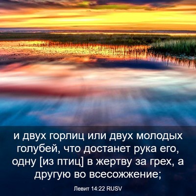 Picture 03 - Левит 14:22 RUSV - и двух горлиц или двух - Bible Verse Picture