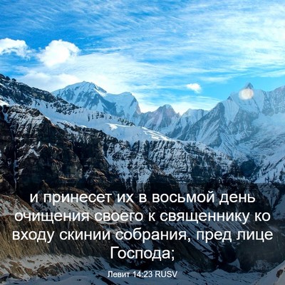 Picture 03 - Левит 14:23 RUSV - и принесет их в восьмой - Bible Verse Picture