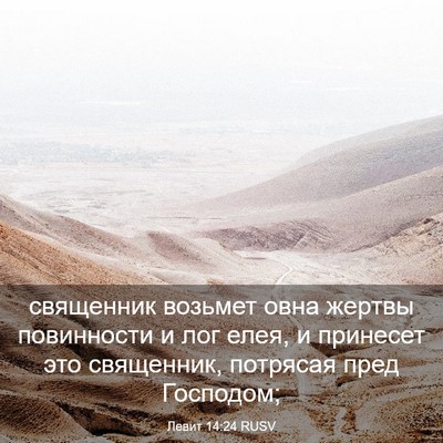 Picture 03 - Левит 14:24 RUSV - священник возьмет овна - Bible Verse Picture