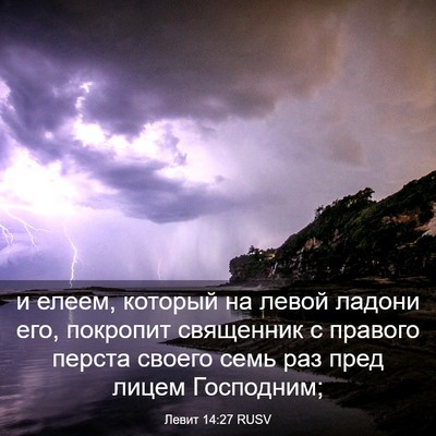 Picture 03 - Левит 14:27 RUSV - и елеем, который на левой - Bible Verse Picture