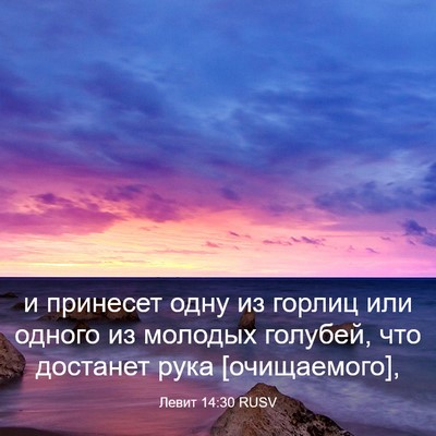 Picture 03 - Левит 14:30 RUSV - и принесет одну из горлиц - Bible Verse Picture