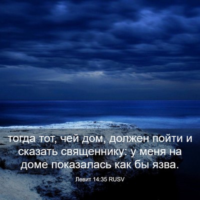 Picture 03 - Левит 14:35 RUSV - тогда тот, чей дом, должен - Bible Verse Picture