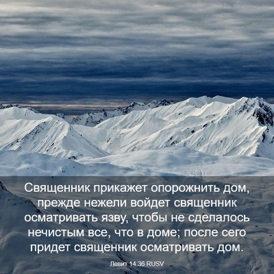 Picture 03 - Левит 14:36 RUSV - Священник прикажет - Bible Verse Picture