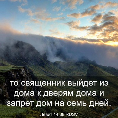 Picture 03 - Левит 14:38 RUSV - то священник выйдет из - Bible Verse Picture