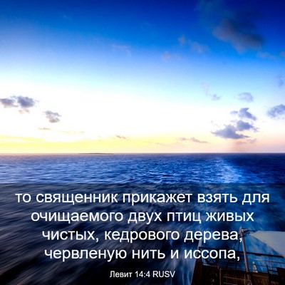 Picture 03 - Левит 14:4 RUSV - то священник прикажет - Bible Verse Picture