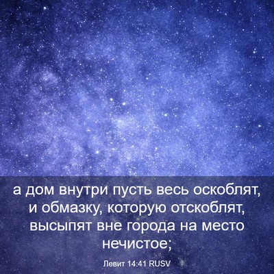 Picture 03 - Левит 14:41 RUSV - а дом внутри пусть весь - Bible Verse Picture