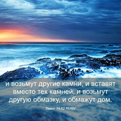 Picture 03 - Левит 14:42 RUSV - и возьмут другие камни, и - Bible Verse Picture