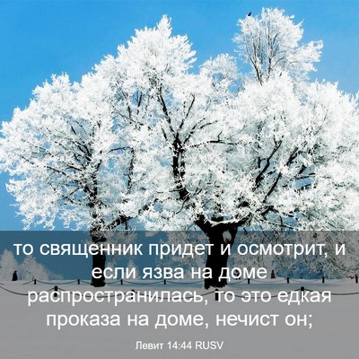 Picture 03 - Левит 14:44 RUSV - то священник придет и - Bible Verse Picture