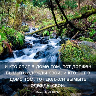 Picture 03 - Левит 14:47 RUSV - и кто спит в доме том, тот - Bible Verse Picture