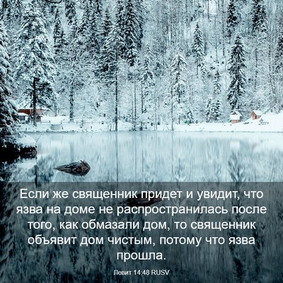 Picture 03 - Левит 14:48 RUSV - Если же священник придет и - Bible Verse Picture