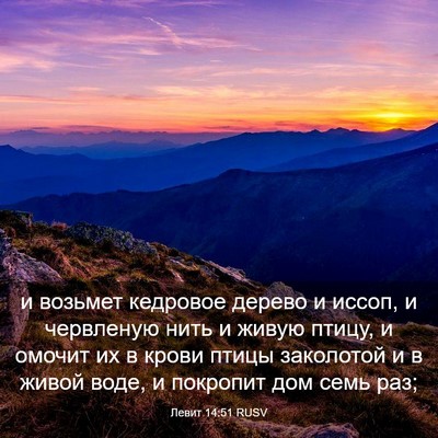 Picture 03 - Левит 14:51 RUSV - и возьмет кедровое дерево - Bible Verse Picture