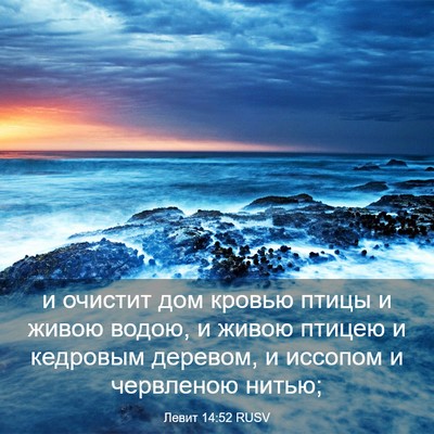 Picture 03 - Левит 14:52 RUSV - и очистит дом кровью птицы - Bible Verse Picture