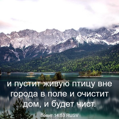 Picture 03 - Левит 14:53 RUSV - и пустит живую птицу вне - Bible Verse Picture