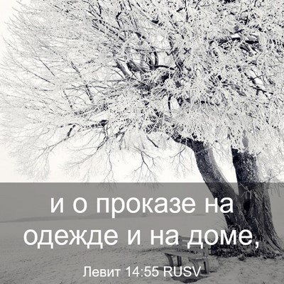 Picture 03 - Левит 14:55 RUSV - и о проказе на одежде и на - Bible Verse Picture