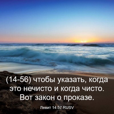 Picture 03 - Левит 14:57 RUSV - (14-56) чтобы указать, когда - Bible Verse Picture