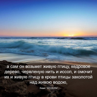 Picture 03 - Левит 14:6 RUSV - а сам он возьмет живую - Bible Verse Picture