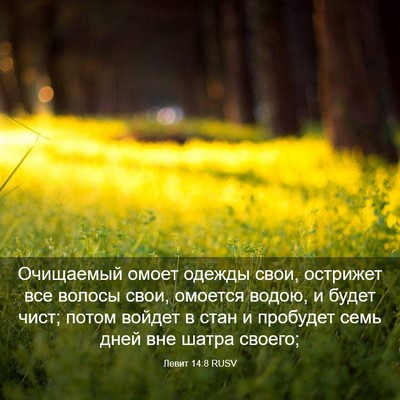 Picture 03 - Левит 14:8 RUSV - Очищаемый омоет одежды - Bible Verse Picture