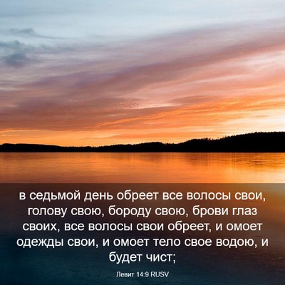 Picture 03 - Левит 14:9 RUSV - в седьмой день обреет все - Bible Verse Picture
