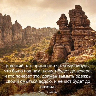 Picture 03 - Левит 15:10 RUSV - и всякий, кто прикоснется к - Bible Verse Picture