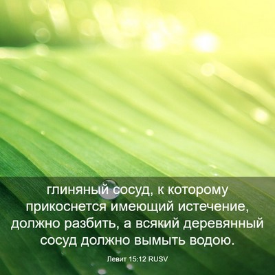 Picture 03 - Левит 15:12 RUSV - глиняный сосуд, к которому - Bible Verse Picture