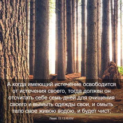 Picture 03 - Левит 15:13 RUSV - А когда имеющий истечение - Bible Verse Picture