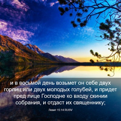 Picture 03 - Левит 15:14 RUSV - и в восьмой день возьмет он - Bible Verse Picture