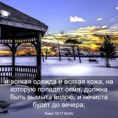 Picture 03 - Левит 15:17 RUSV - и всякая одежда и всякая - Bible Verse Picture