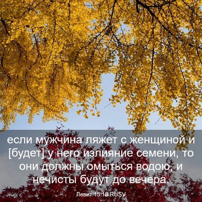 Picture 03 - Левит 15:18 RUSV - если мужчина ляжет с - Bible Verse Picture