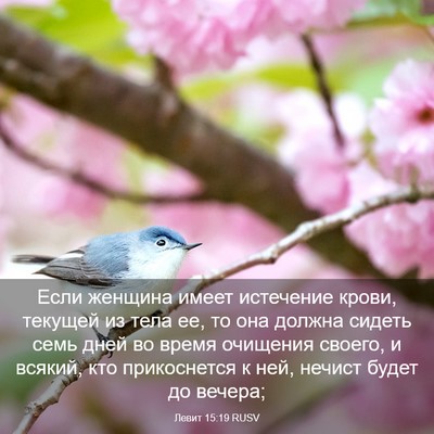 Picture 03 - Левит 15:19 RUSV - Если женщина имеет - Bible Verse Picture