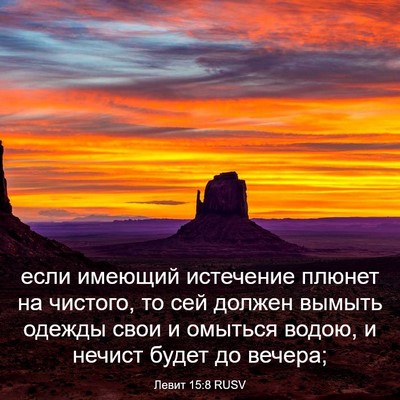 Picture 03 - Левит 15:8 RUSV - если имеющий истечение - Bible Verse Picture