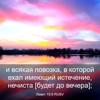 Picture 03 - Левит 15:9 RUSV - и всякая повозка, в которой - Bible Verse Picture