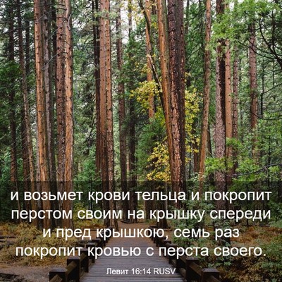 Picture 03 - Левит 16:14 RUSV - и возьмет крови тельца и - Bible Verse Picture