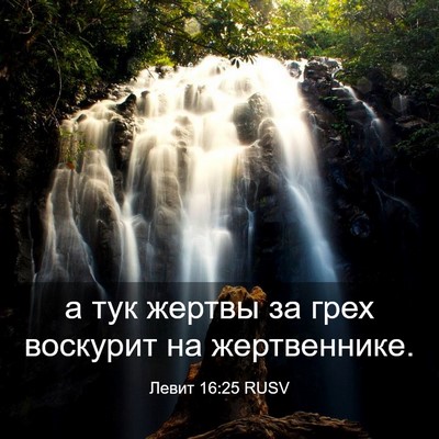 Picture 03 - Левит 16:25 RUSV - а тук жертвы за грех - Bible Verse Picture