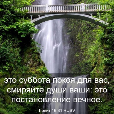 Picture 03 - Левит 16:31 RUSV - это суббота покоя для вас, - Bible Verse Picture
