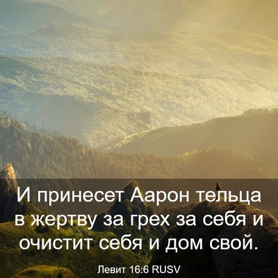 Picture 03 - Левит 16:6 RUSV - И принесет Аарон тельца в - Bible Verse Picture