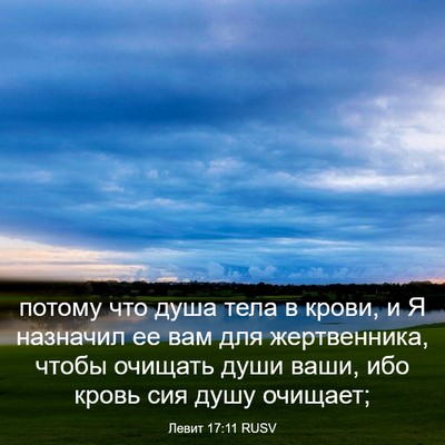 Picture 03 - Левит 17:11 RUSV - потому что душа тела в - Bible Verse Picture