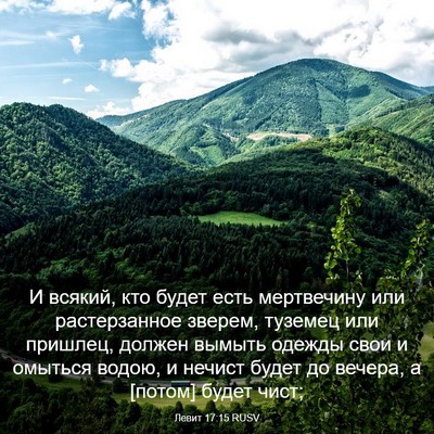 Picture 03 - Левит 17:15 RUSV - И всякий, кто будет есть - Bible Verse Picture