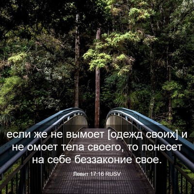 Picture 03 - Левит 17:16 RUSV - если же не вымоет [одежд - Bible Verse Picture