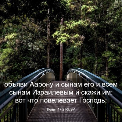 Picture 03 - Левит 17:2 RUSV - объяви Аарону и сынам его и - Bible Verse Picture