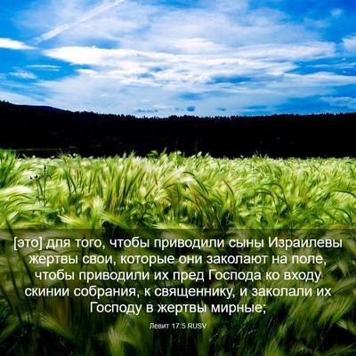 Picture 03 - Левит 17:5 RUSV - [это] для того, чтобы - Bible Verse Picture