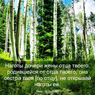 Picture 03 - Левит 18:11 RUSV - Наготы дочери жены отца - Bible Verse Picture