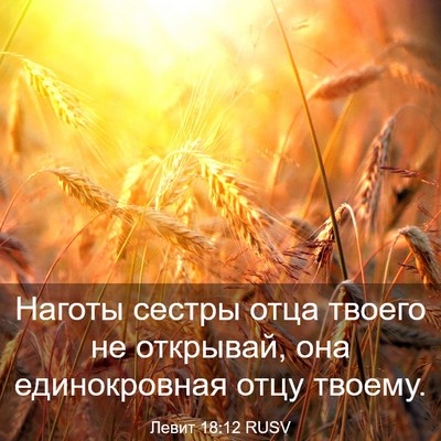 Picture 03 - Левит 18:12 RUSV - Наготы сестры отца твоего - Bible Verse Picture