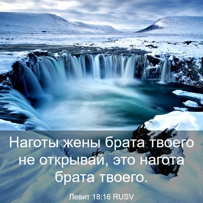 Picture 03 - Левит 18:16 RUSV - Наготы жены брата твоего - Bible Verse Picture